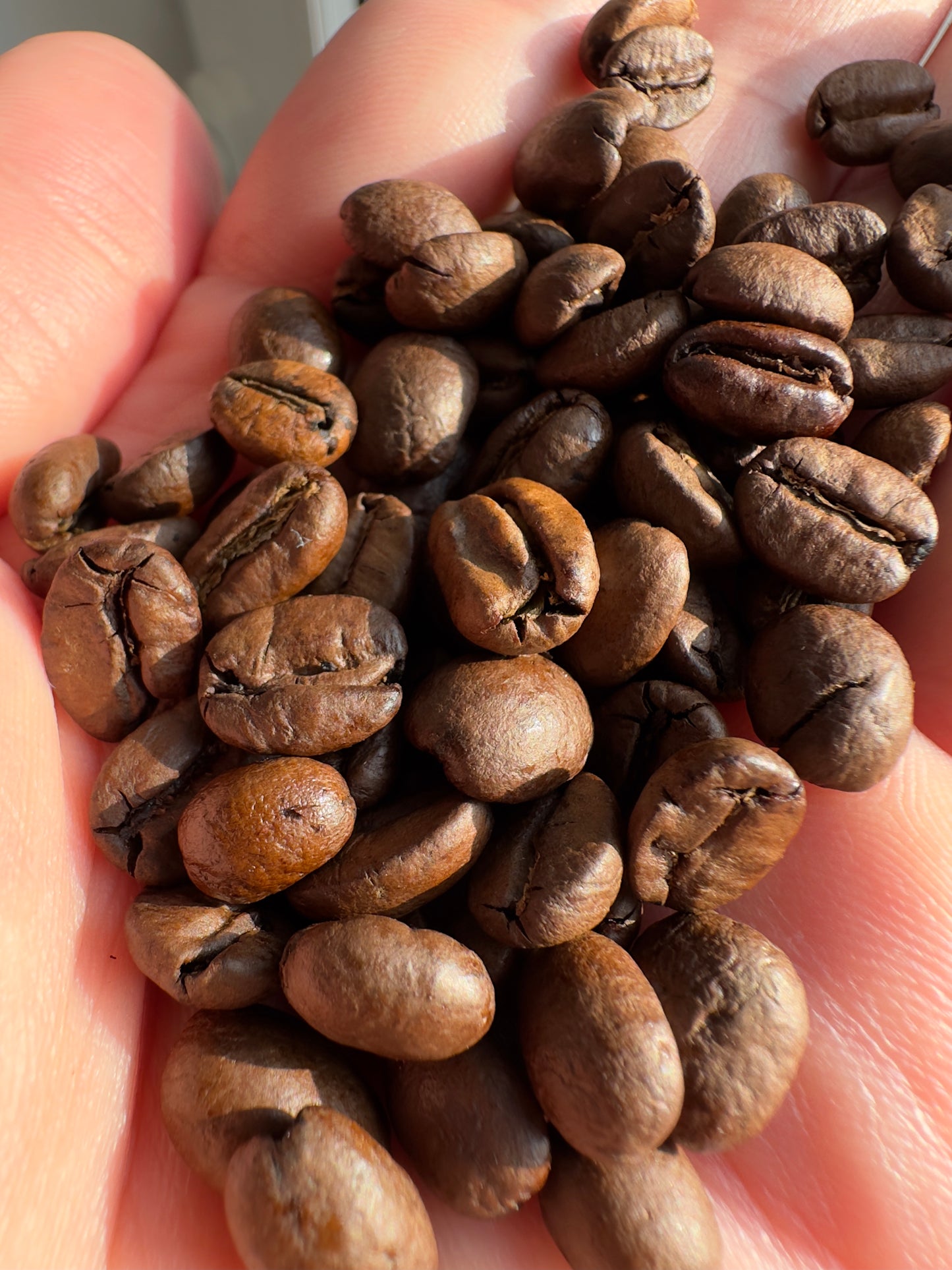 PuraCaffé Arabica 250g