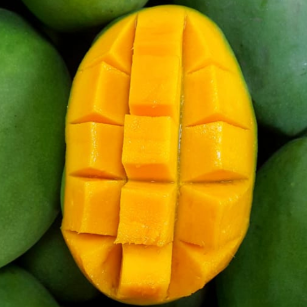 mango-puravita