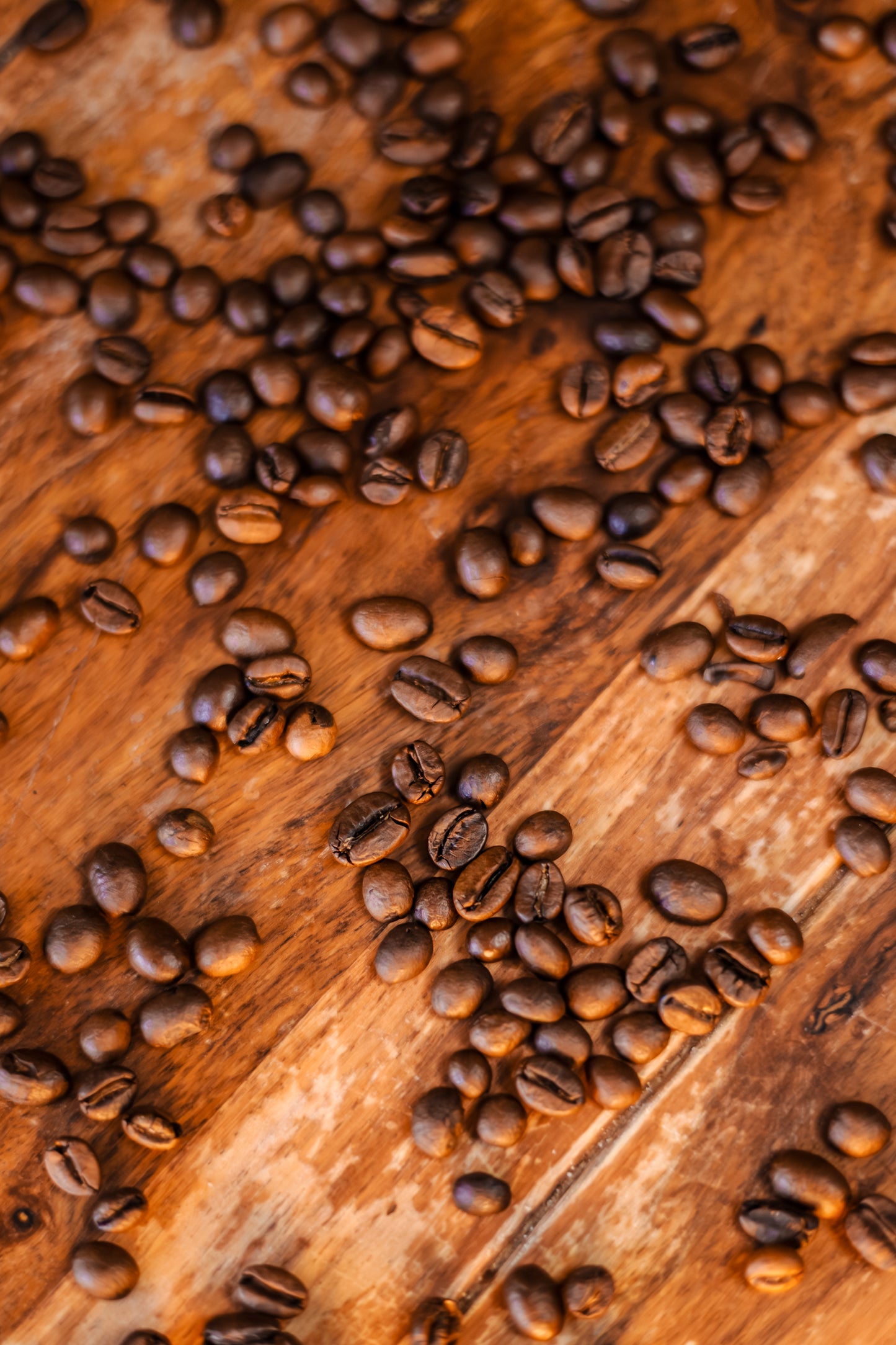 Kawowy duet 250g Arabica + 250g Decaf